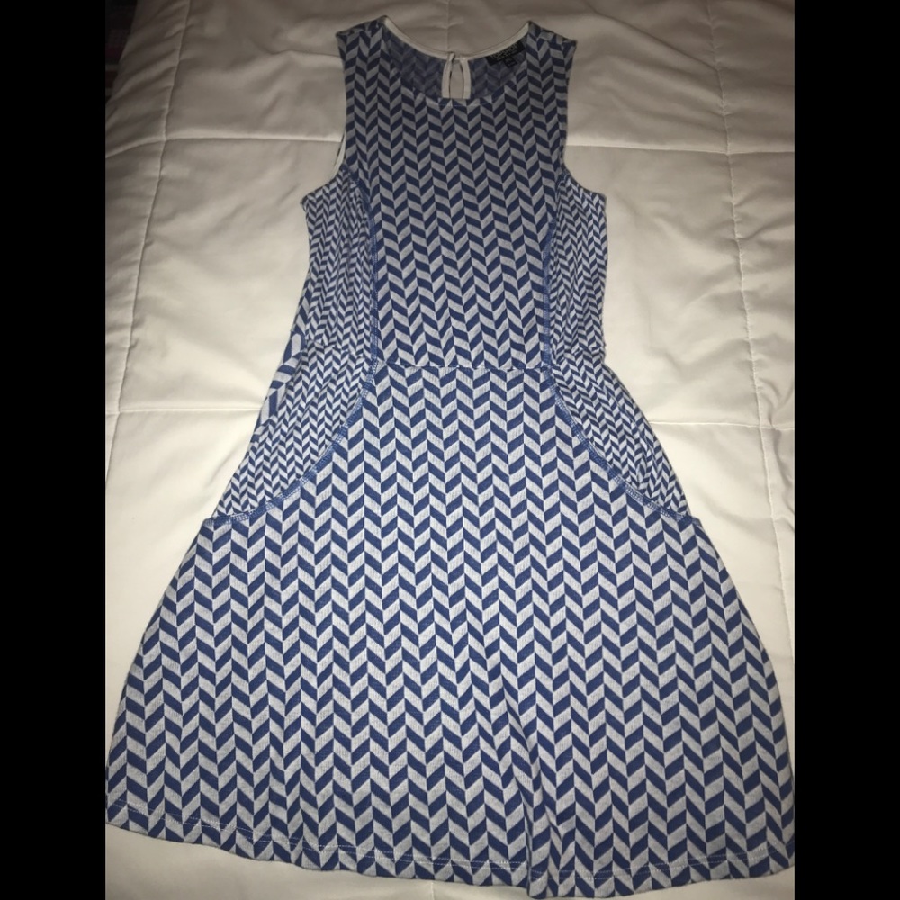 Topshop Skater Dress
